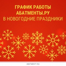 Новогодние праздники – график работы Абатменты.ру